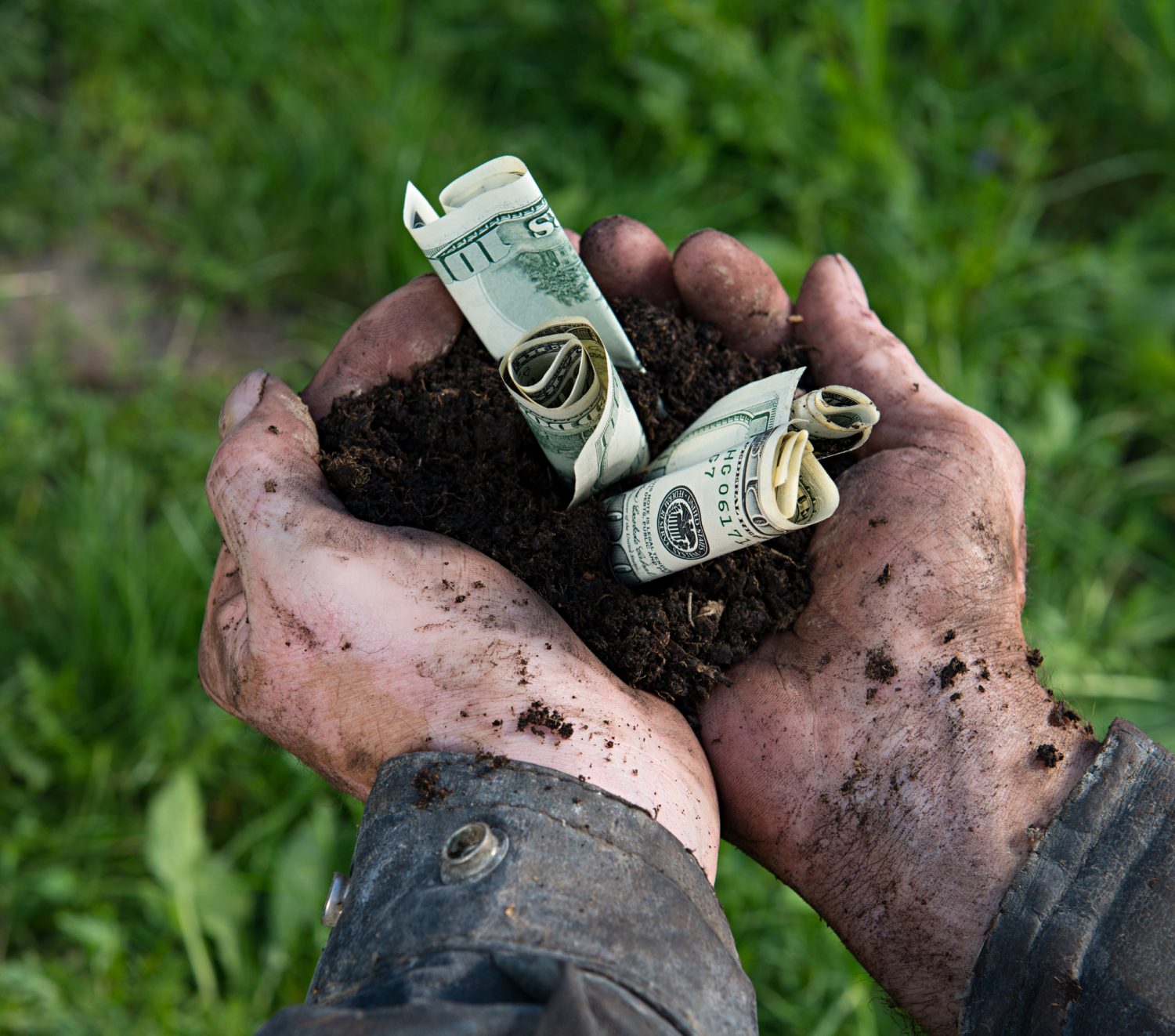 Farmer holding soil with dollars
