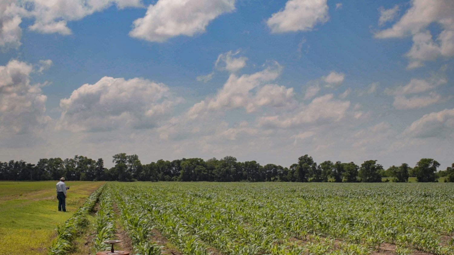 Conservis with a farmer in the field looking at data