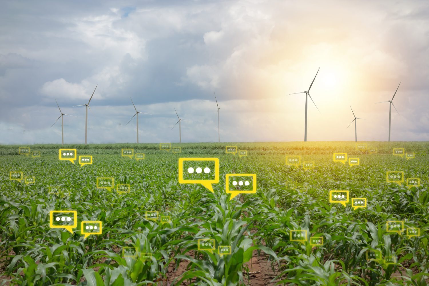 Crop farm with digital thought boxes implying big data information