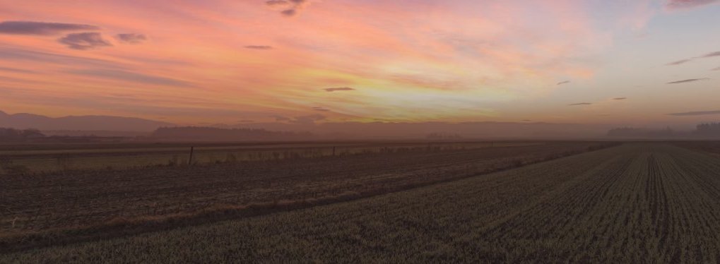 Pink and yellow early morning sunrise over a field during harvest